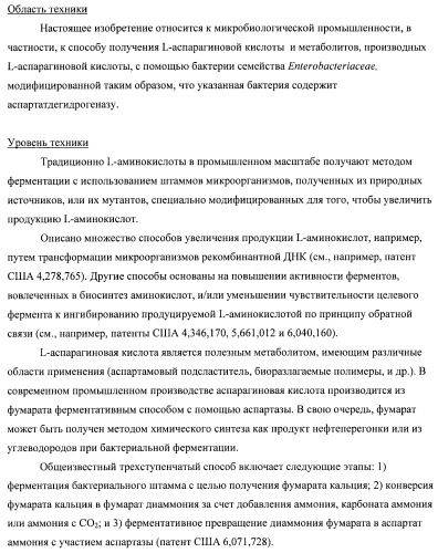 Бактерия семейства enterobacteriaceae - продуцент l-аспарагиновой кислоты или метаболитов, производных l-аспарагиновой кислоты, и способ получения l-аспарагиновой кислоты или метаблитов, производных l-аспарагиновой кислоты (патент 2472853)