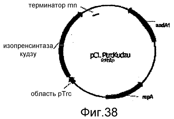 Полимеры изопрена из возобновляемых источников (патент 2505605)