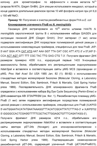 Нейссериальные вакцинные композиции, содержащие комбинацию антигенов (патент 2317106)