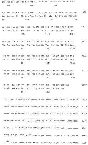 Применение пептидов для придания кокуми (патент 2536934)