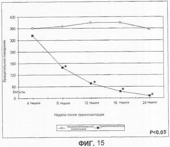 Получение терминально дифференцированных дофаминергических нейронов из эмбриональных стволовых клеток человека (патент 2345133)