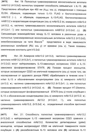 Антитела против интерлейкина-13 человека и их применение (патент 2427589)