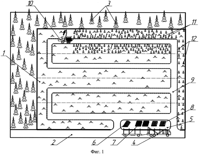 Способ высадки посадочного материала с закрытой корневой системой лесозаготовительной машиной (патент 2560187)