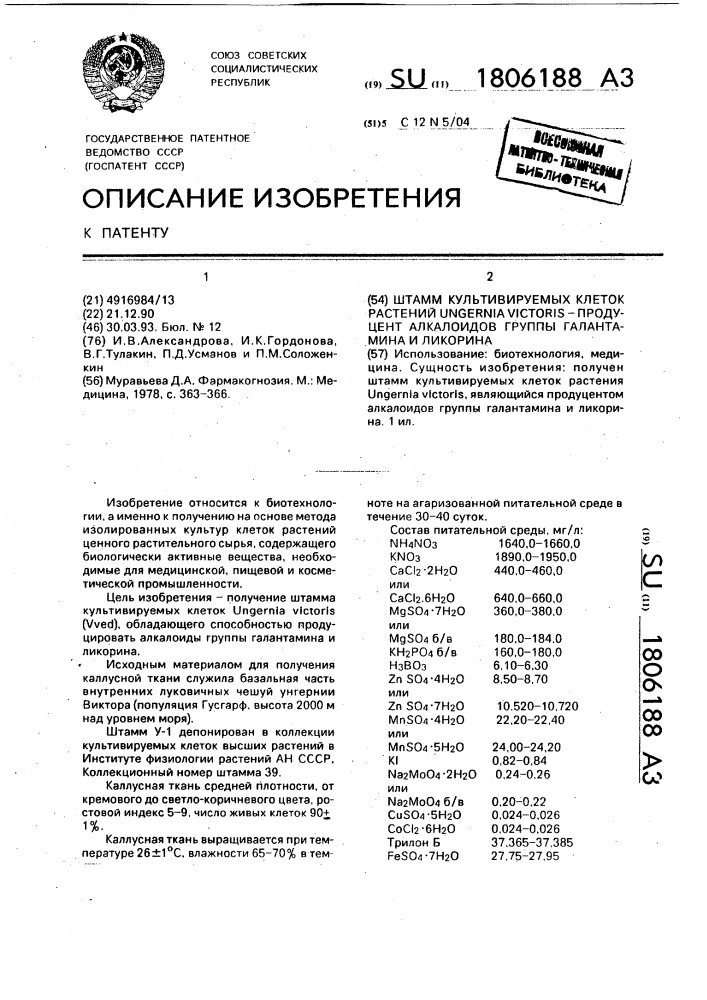 Штамм культивируемых клеток растений ungernia viстоris - продуцент алкалоидов группы галантамина и ликорина (патент 1806188)