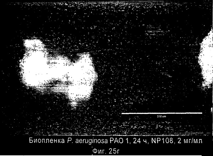 Ингибирование организмов биопленки (патент 2548786)
