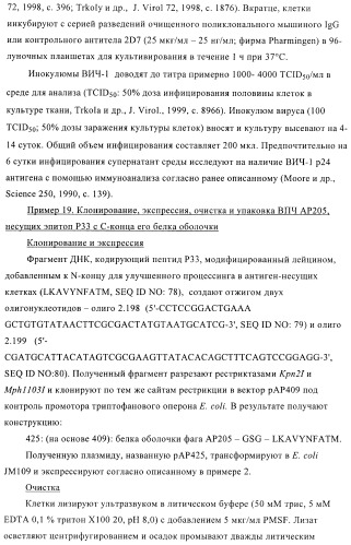 Вирусоподобные частицы, включающие гибридный белок белка оболочки бактериофага ар205 и антигенного полипептида (патент 2409667)