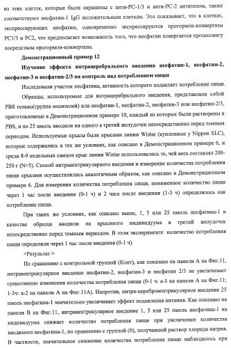 Способ получения фактора, связанного с контролем над потреблением пищи и/или массой тела, полипептид, обладающий активностью подавления потребления пищи и/или прибавления в весе, молекула нуклеиновой кислоты, кодирующая полипептид, способы и применение полипептида (патент 2418002)