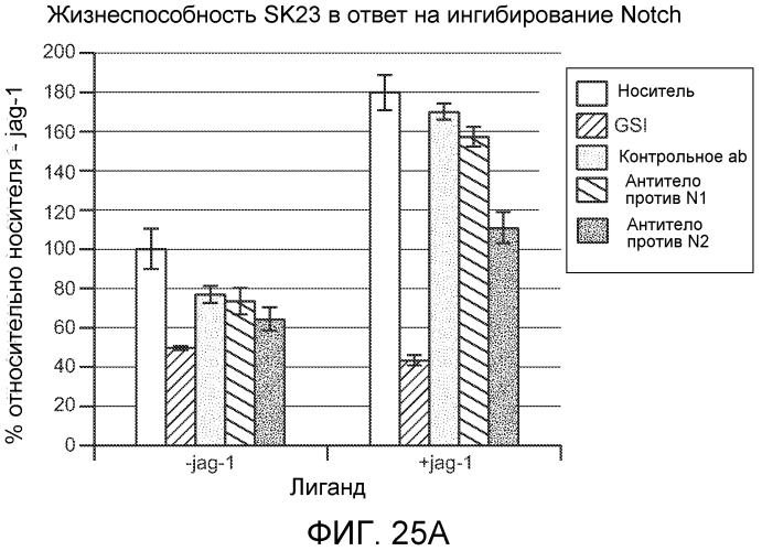 Антитела против notch2 и способы их применения (патент 2580029)