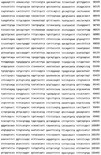 Применение s1p (патент 2362565)