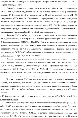 Агонистическое соединение, способное специфически узнавать и поперечно сшивать молекулу клеточной поверхности или внутриклеточную молекулу (патент 2430927)