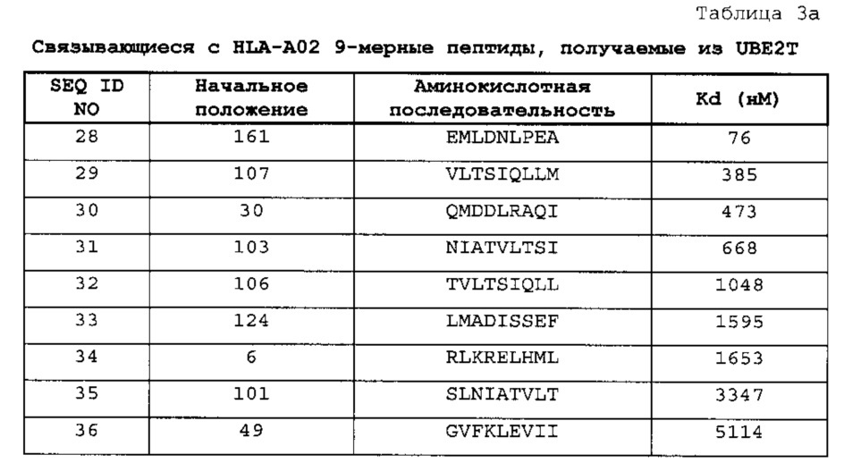 Пептиды ube2t и содержащие их вакцины (патент 2663350)