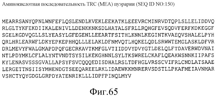 Варианты изопренсинтазы, применяемые для улучшения продуцирования изопрена микроорганизмами (патент 2516343)