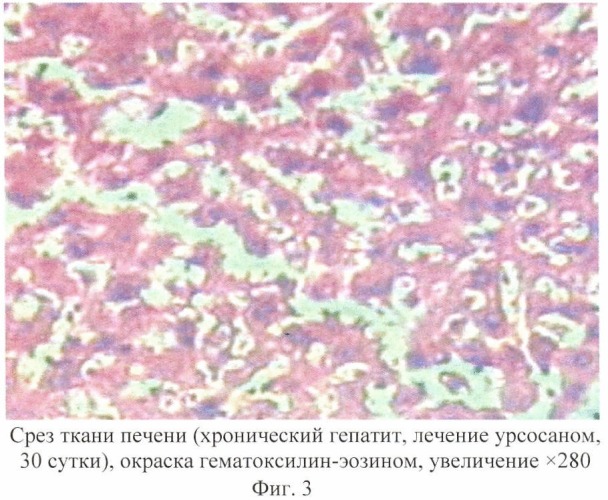 Средство &quot;гепатобиол&quot;, обладающее гепатопротекторным действием (патент 2429869)