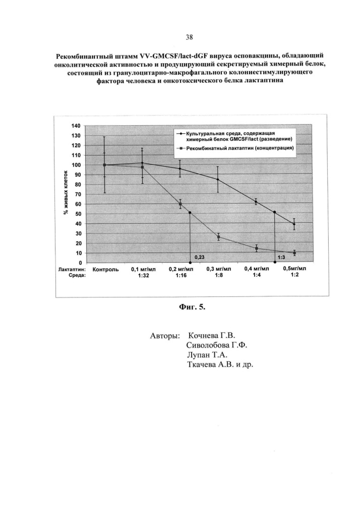 Рекомбинантный штамм vv-gmcsf/lact-dgf вируса осповакцины, обладающий онколитической активностью и продуцирующий секретируемый химерный белок, состоящий из гранулоцитарно-макрофагального колониестимулирующего фактора человека и онкотоксического белка лактаптина (патент 2630672)