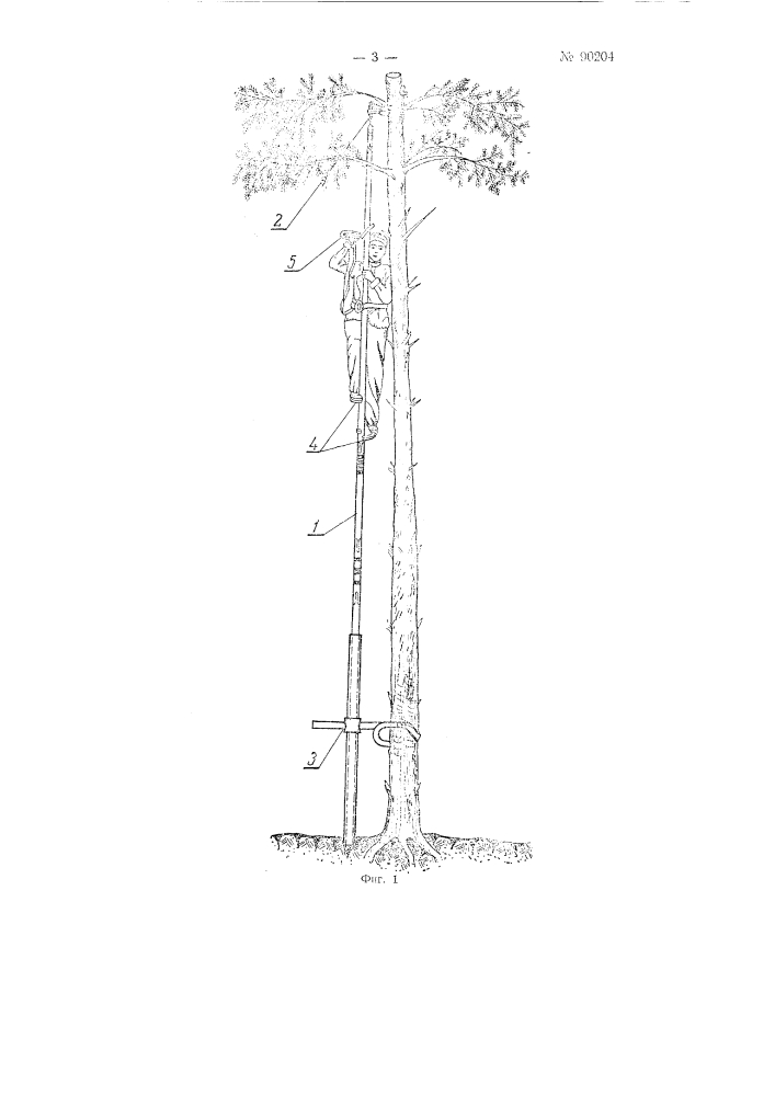 Устройство для влезания на деревья для сбора лесных семян (патент 90204)