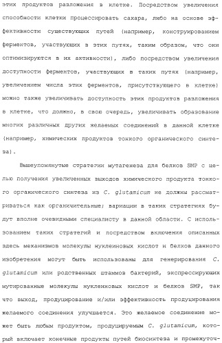 Гены corynebacterium glutamicum, кодирующие белки, участвующие в метаболизме углерода и продуцировании энергии (патент 2310686)