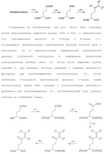 Системы михаэля в качестве ингибиторов трансглутаминазы (патент 2501806)