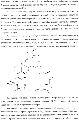 Получение поликетидов и других природных продуктов (патент 2430922)