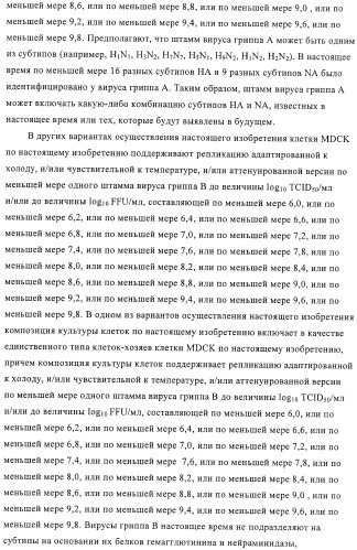 Линии клеток почки собаки майдин-дэрби (mdck), поддерживающие рост вирусов до высоких титров, и способ применения этих клеток в биореакторе (патент 2487935)