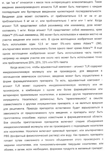 Способ усиления иммунного ответа млекопитающего на антиген (патент 2370537)