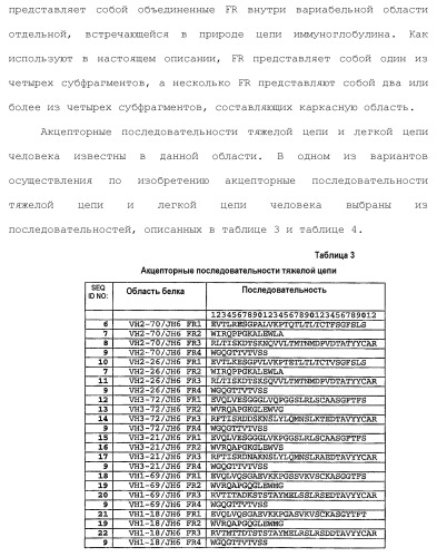 Белки, связывающие il-12/p40 (патент 2461571)