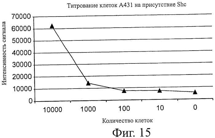 Чипы на основе антител для определения множественных трансдукторов сигналов в редких циркулирующих клетках (патент 2442171)