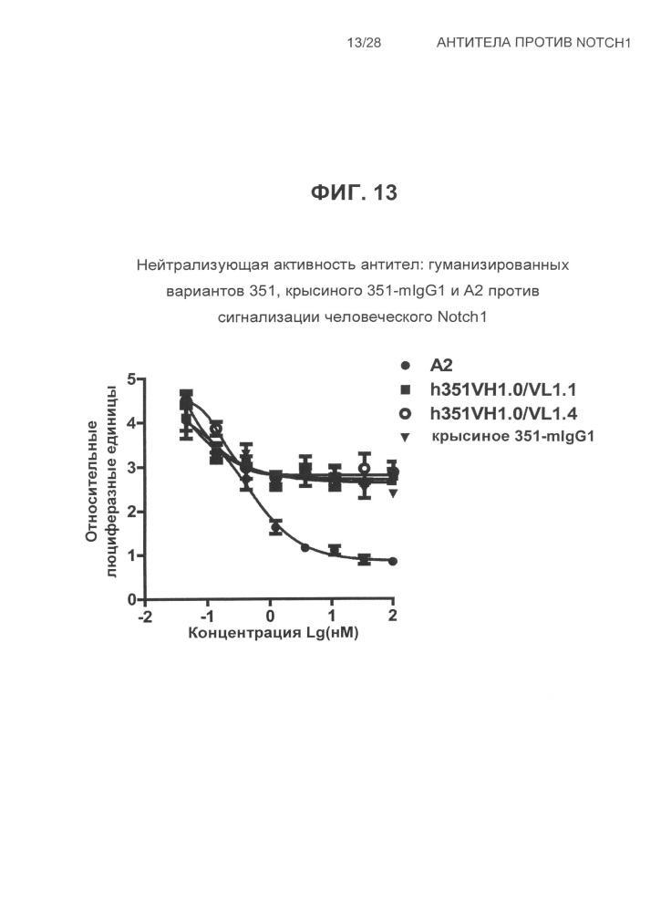 Антитела против notch1 (патент 2622083)