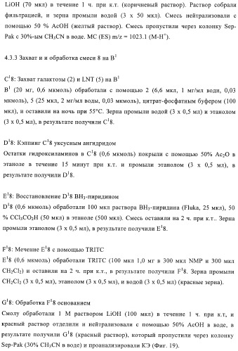 Твердофазное тегирование олигосахаридов: методика для манипуляции с иммобилизированными углеводами (патент 2398237)