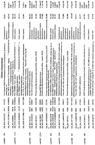 Гены corynebacterium glutamicum, кодирующие белки метаболических путей (патент 2306339)