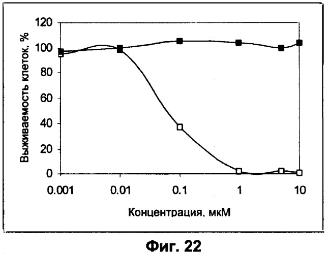 Водорастворимые анионсодержащие производные бактериохлорофилла и их применение (патент 2353624)