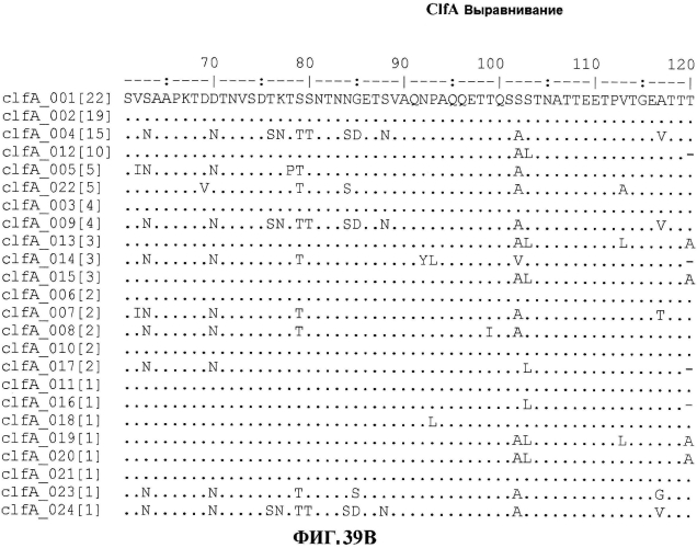 Стабильные иммуногенные композиции антигенов staphylococcus aureus (патент 2570730)