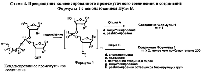 Способ синтеза модифицированных по атому фосфора нуклеиновых кислот (патент 2572826)