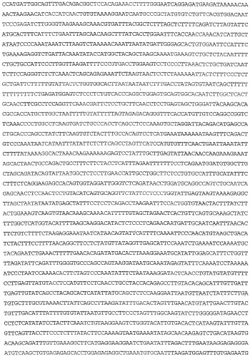 Применение s1p (патент 2362565)