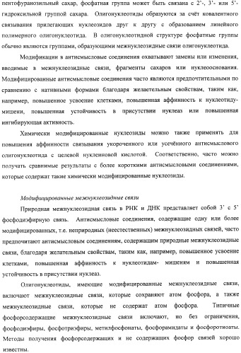Композиции и способы модуляции экспрессии рецептора фактора роста фибробластов 4 (fgfr4) (патент 2501803)