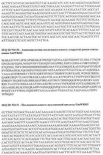 Молекулы нуклеиновых кислот, кодирующие wrinkled1-подобные полипептиды, и способы их применения в растениях (патент 2385347)