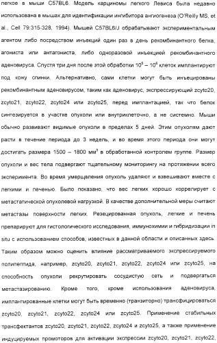 Выделенный полипептид, обладающий антивирусной активностью (варианты), кодирующий его полинуклеотид (варианты), экспрессирующий вектор, рекомбинантная клетка-хозяин, способ получения полипептида, антитело, специфичное к полипептиду, и фармацевтическая композиция, содержащая полипептид (патент 2321594)