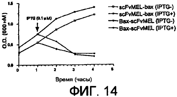 Терапевтические агенты, содержащие проапоптозные белки (патент 2319709)