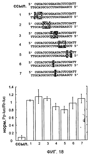 Малые молекулы рнк, опосредующие интерференцию рнк (патент 2470073)