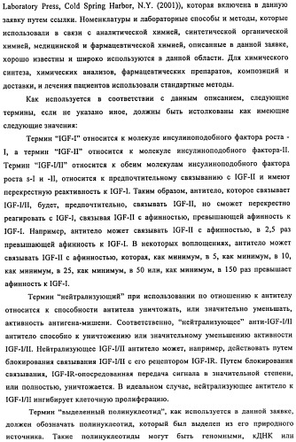 Связывающие протеины, специфичные по отношению к инсулин-подобным факторам роста, и их использование (патент 2492185)