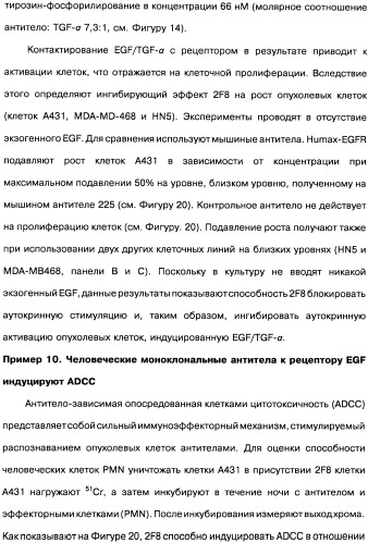 Человеческие моноклональные антитела к рецептору эпидермального фактора роста (egfr), способ их получения и их использование, гибридома, трансфектома, трансгенное животное, экспрессионный вектор (патент 2335507)