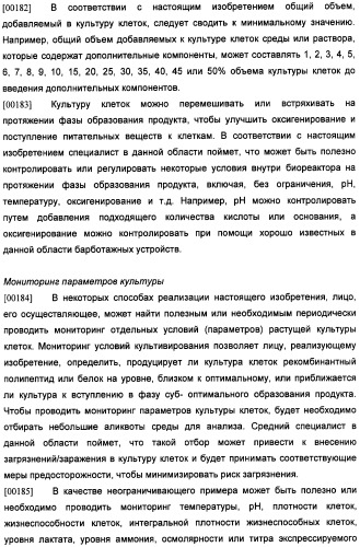 Получение антител против амилоида бета (патент 2418858)