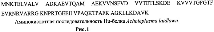 Способ конденсации плазмидной днк для трансфекции эукариотических клеток (патент 2464314)