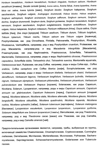 Способ получения полиненасыщенных кислот жирного ряда в трансгенных организмах (патент 2447147)