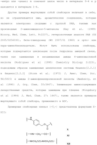 Антитела и иммуноконъюгаты и их применение (патент 2483080)