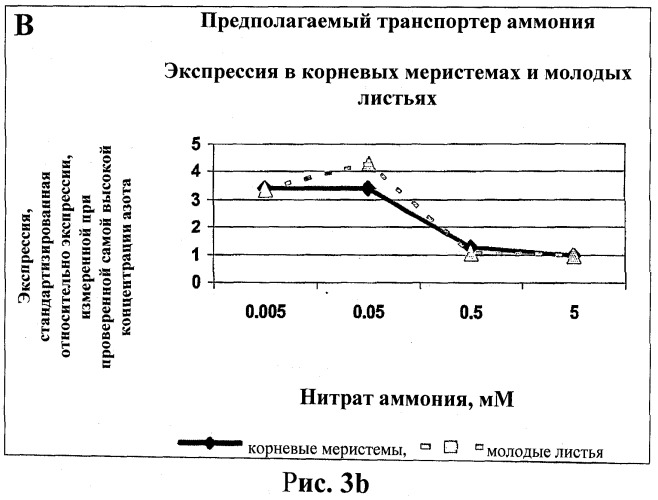 Изолированные полипептиды, кодирующие их полинуклеотиды, экспрессирующие их трансгенные растения и способы их использования (патент 2487166)