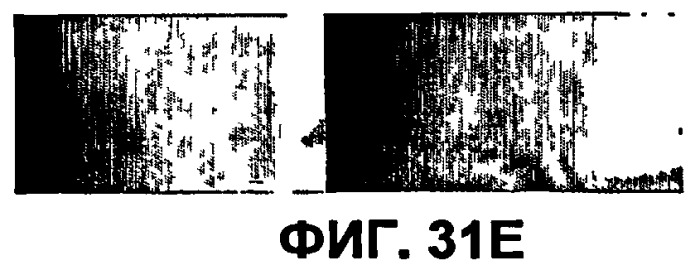 Конъюгаты rgd-пептидов и фотосенсибилизаторов порфирина или (бактерио)хлорофилла и их применение (патент 2450018)