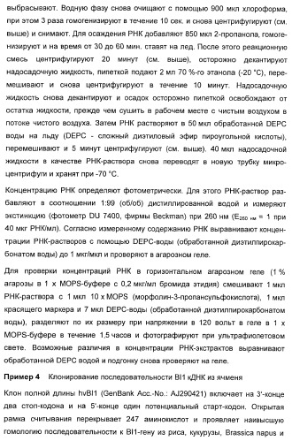 Способ повышения стойкости к стрессовым факторам в растениях (патент 2375452)