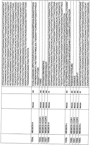 Pscaxcd3, cd19xcd3, c-metxcd3, эндосиалинxcd3, epcamxcd3, igf-1rxcd3 или fap-альфаxcd3 биспецифическое одноцепочечное антитело с межвидовой специфичностью (патент 2547600)