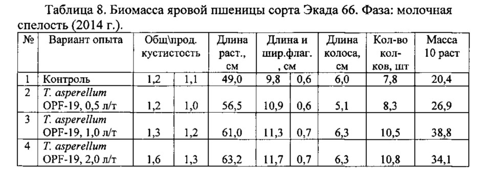 Штамм гриба trichoderma asperellum для получения биопрепарата комплексного действия для растениеводства (патент 2634415)