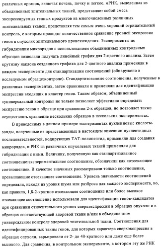 Композиции и способы диагностики и лечения опухоли (патент 2430112)